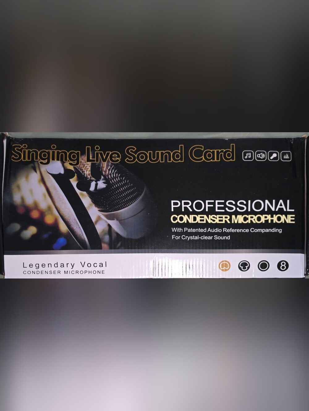 Professional Condenser Microphone - Black